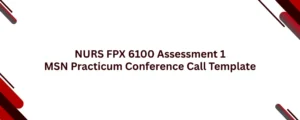 NURS FPX 6100 Assessment 1 MSN Practicum Conference Call Template